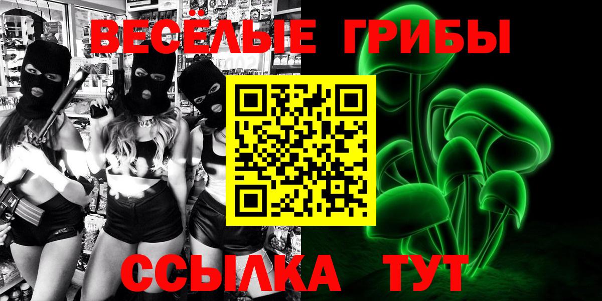 Сосновый Бор  цена   Вход с VPN  Псилоцибиновые грибы Cubensis 