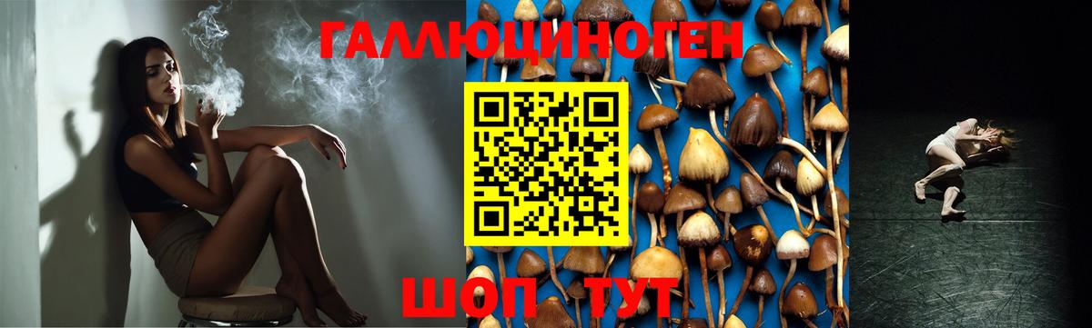 Галлюциногенные грибы Cubensis Сосновый Бор